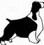 Morning Star Farm Pet Resort LLC