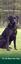 Provided by Dogwatch Hidden Fence Systems, Bridgewater 