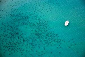Aerial Photography West Palm Beach Reviews Aerial Photography West Palm Beach Reviews