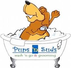 Dog Grooming Services Cape Coral Dog Grooming Services Cape Coral