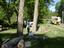RAY'S TREEWORKS & LANDSCAPING ** RAY'S HOMEWORKS