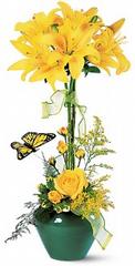 Tuscaloosa Flower Shoppe Inc