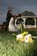 Miramonte Lodge