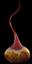 North Rim Glass Studio, LLC