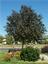 Landscape Solutions & Supply