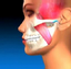 Provided by Knight Orthodontics, Louisville 