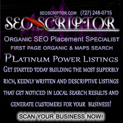 SEOScriptor Organic SEO Placement Specialist SEOScriptor Organic SEO Placement Specialist