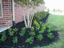 Provided by Harbor Landscape, Broken Arrow 