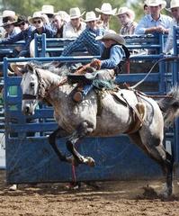 Sequoyah Riding Stable - Hulbert, OK