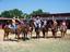 Provided by Sequoyah Riding Stable, Hulbert 