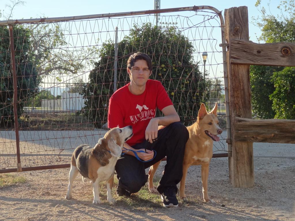 Best Pet Insurance For Dogs In Arizona Best Pet Insurance For Dogs In Arizona