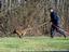 Provided by Washington K9, inc, Spartanburg 