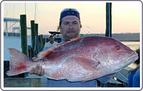 Murrells Inlet Deep Fishing on Hurricane Fleet Fishing Cruising Murrells Inlet Sc 29576