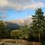 Provided by Peaceful Mountain Inn, Idyllwild 