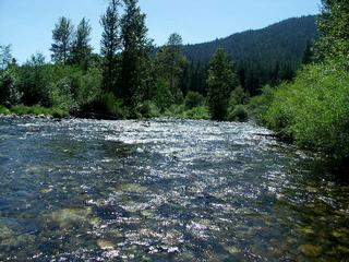 Cedar Pines RV Resort - Dunsmuir, CA