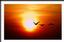 Sunrise Window Tint Solar Control
