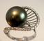 Tahitian Prl in Diam. Cage Ring.JPG