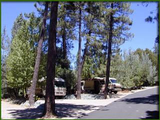 Pinezanita RV Park and Campgrounds - Julian, CA