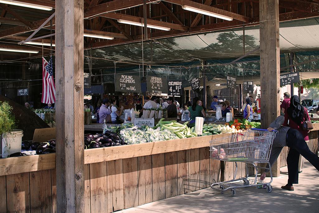 Davis Ranch Sloughhouse CA 95683 9166822658 Produce Retailers