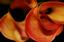 Coarsegold Flower Shop