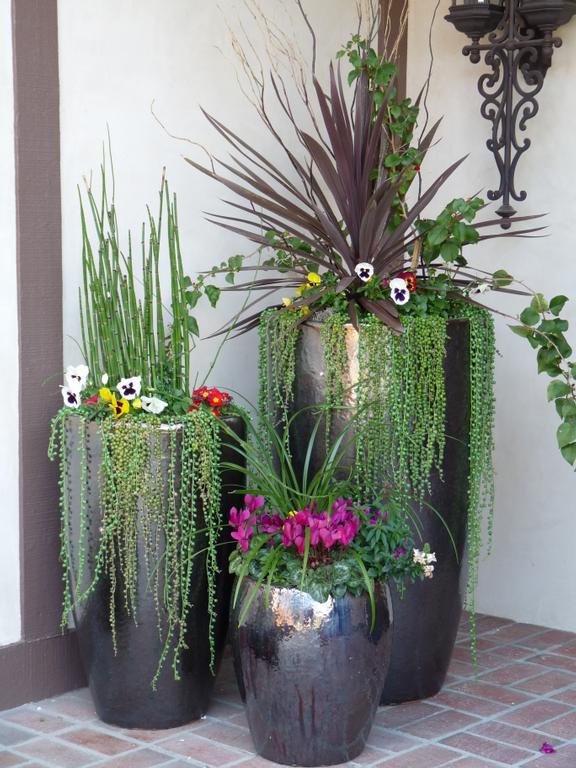 Outdoor Potted Plant Ideas