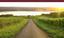 Provided by Atwater Estate Vineyards, Burdett 