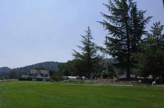 R Ranch Sales - Hornbrook, CA