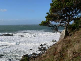 Vacation Rentals at Sea Ranch Lodge - The Sea Ranch, CA