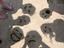 POD_100407.jpg 