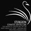 Provided by Sturgeon Cosmetic Dental Care, West Hills 
