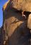 Provided by Joshua Tree Rock Climbing School, Joshua Tree 