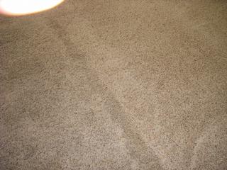 Tally's Carpet & Upholstery Cleaning, inc - Murrieta, CA