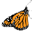 Provided by United States Government Mendocino National Forest, Paskenta 