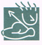 MacDonald Affiliates, Inc. , Dave MacDonald LCSW ,  EMDR & Psychotherapy