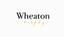 Wheaton Trophy & Engravers
