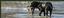 Provided by Muddy Rivers Lodge, Nebo 