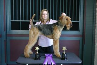 A Groomery - Dekalb, IL