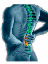 Aspiring Health Chiropractic Clinc