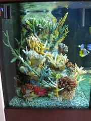A Aquatic Works - Northbrook, IL
