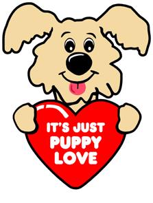 evrytime talk feeling explain cute braids love sprung puppy luv evrytime talk feeling explain cute braids love sprung puppy luv