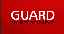 Island Security Systems Inc