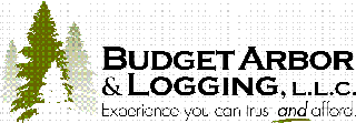 Budget Arbor & Logging, LLC - Spokane, WA