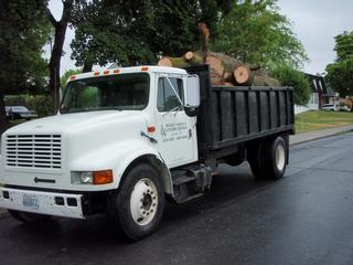 Budget Arbor & Logging, LLC - Spokane, WA