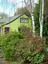 Provided by Village Green Perennial Nursery, Seattle 