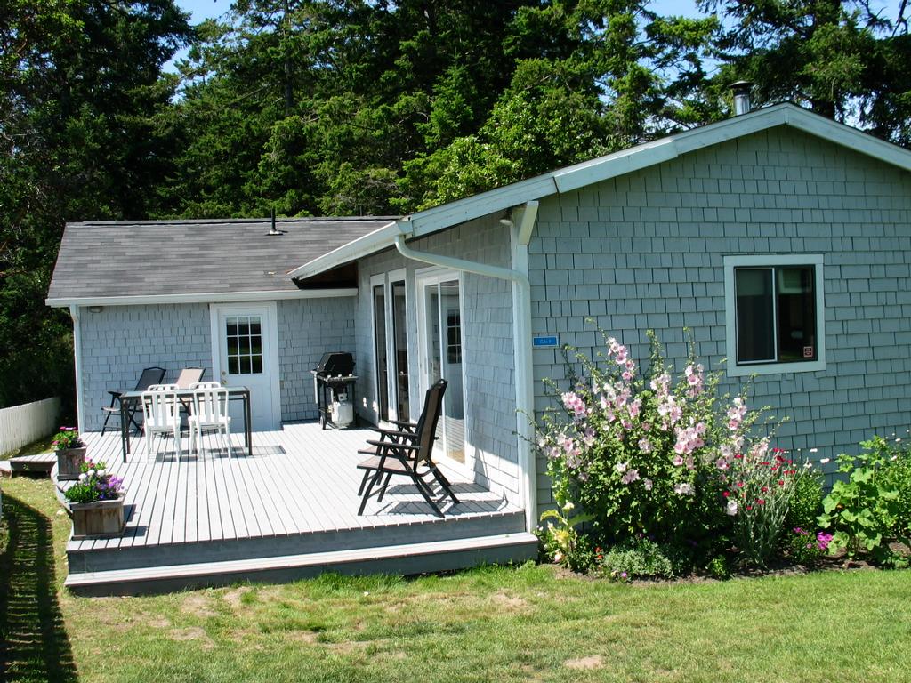 Dog Friendly Hotels Near Port Townsend Wa Dog Friendly Hotels Near Port Townsend Wa