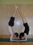 Provided by North Bend Yoga Shala, ...