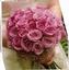 Enchanted Florist scan1.jpg