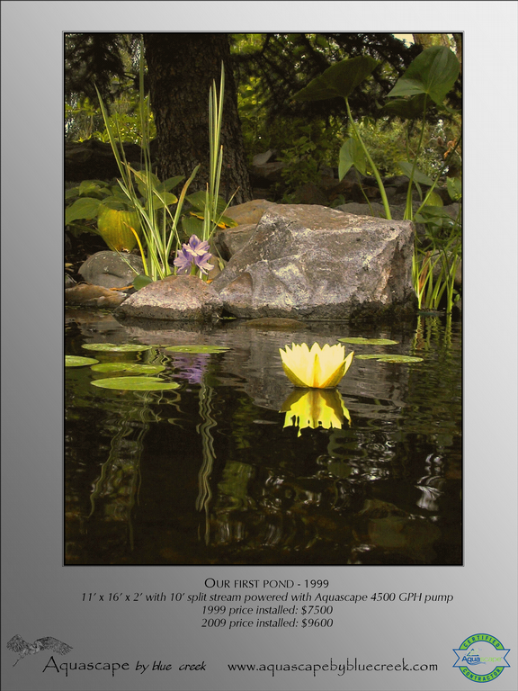 First%20Pond%201999_full