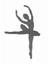 Ballet Academy of Performing Arts