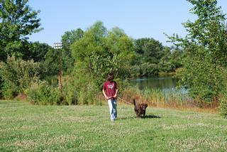 Law's Country Kennel - Roanoke, IN